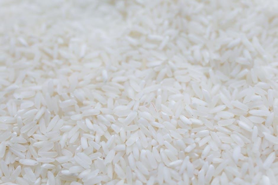 Understanding the Nutritional Profiles of Rice and Cauliflower Rice