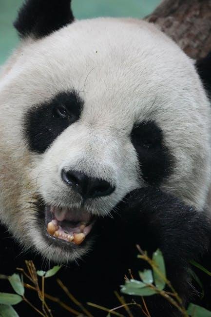 practical‌ Tips for Enjoying Panda Express ‌Without the Sodium Spike