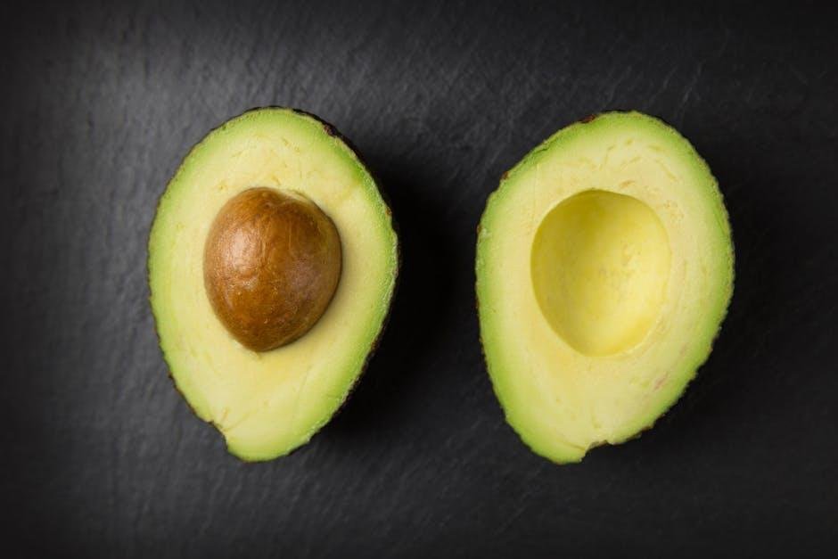 Balancing Macronutrients in Two Daily Dining Experiences