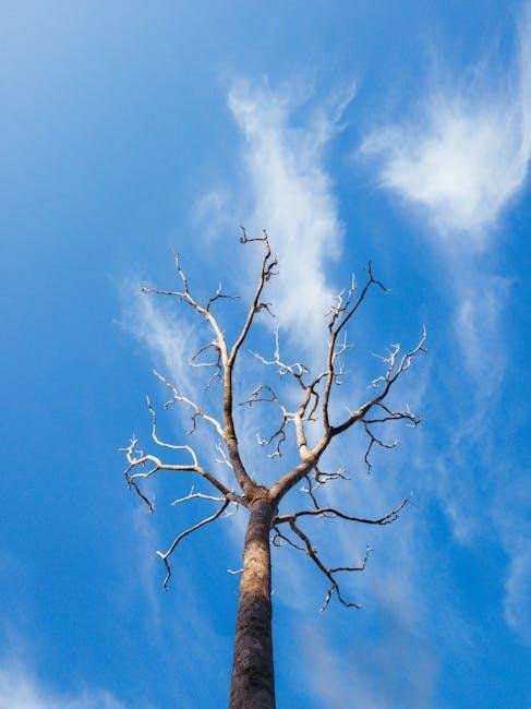 Building Resilience: Turning ⁢Setbacks into Learning Opportunities