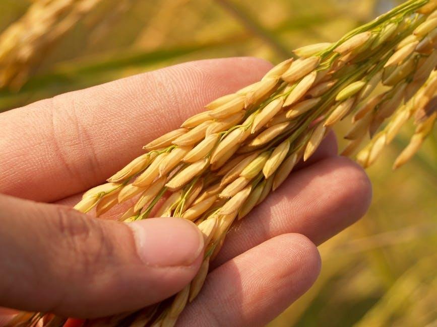 Understanding the Cultural ⁤Significance of Rice and Noodles