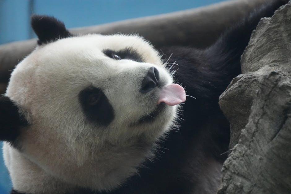 Creative Customizations: ⁢Making Your ​Panda ⁣Meal Keto-Kind