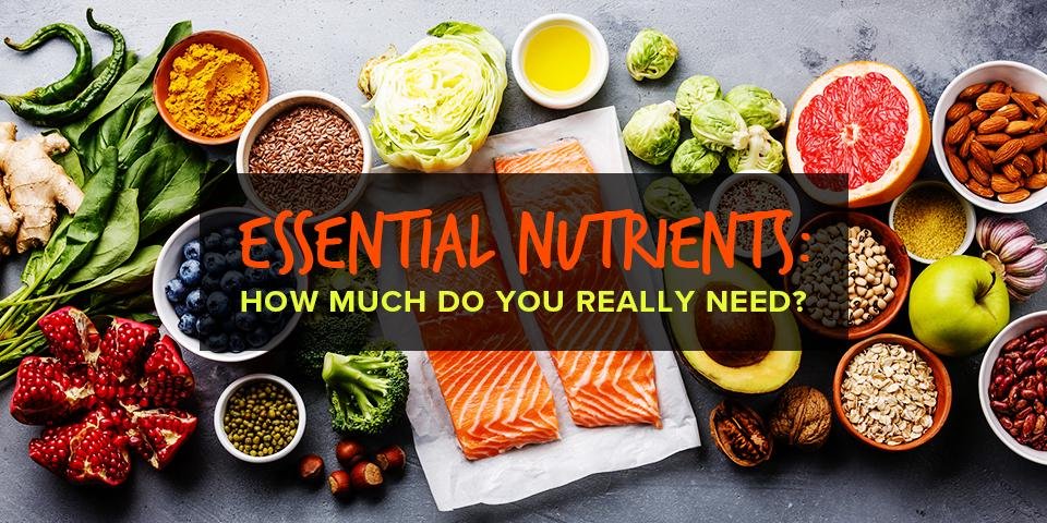 Essential Nutrients⁢ to Support a Smooth transition